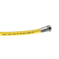 Anest Iwata 10m Breathable Air Line Hose